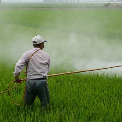 França bane uso de epoxiconazol por preocupações com saúde