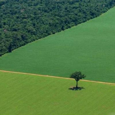 Europa ameaça investimentos no BR em dia que país lança plano para agricultura sustentável